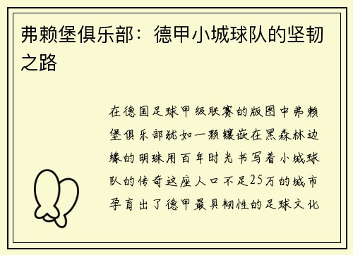弗赖堡俱乐部：德甲小城球队的坚韧之路